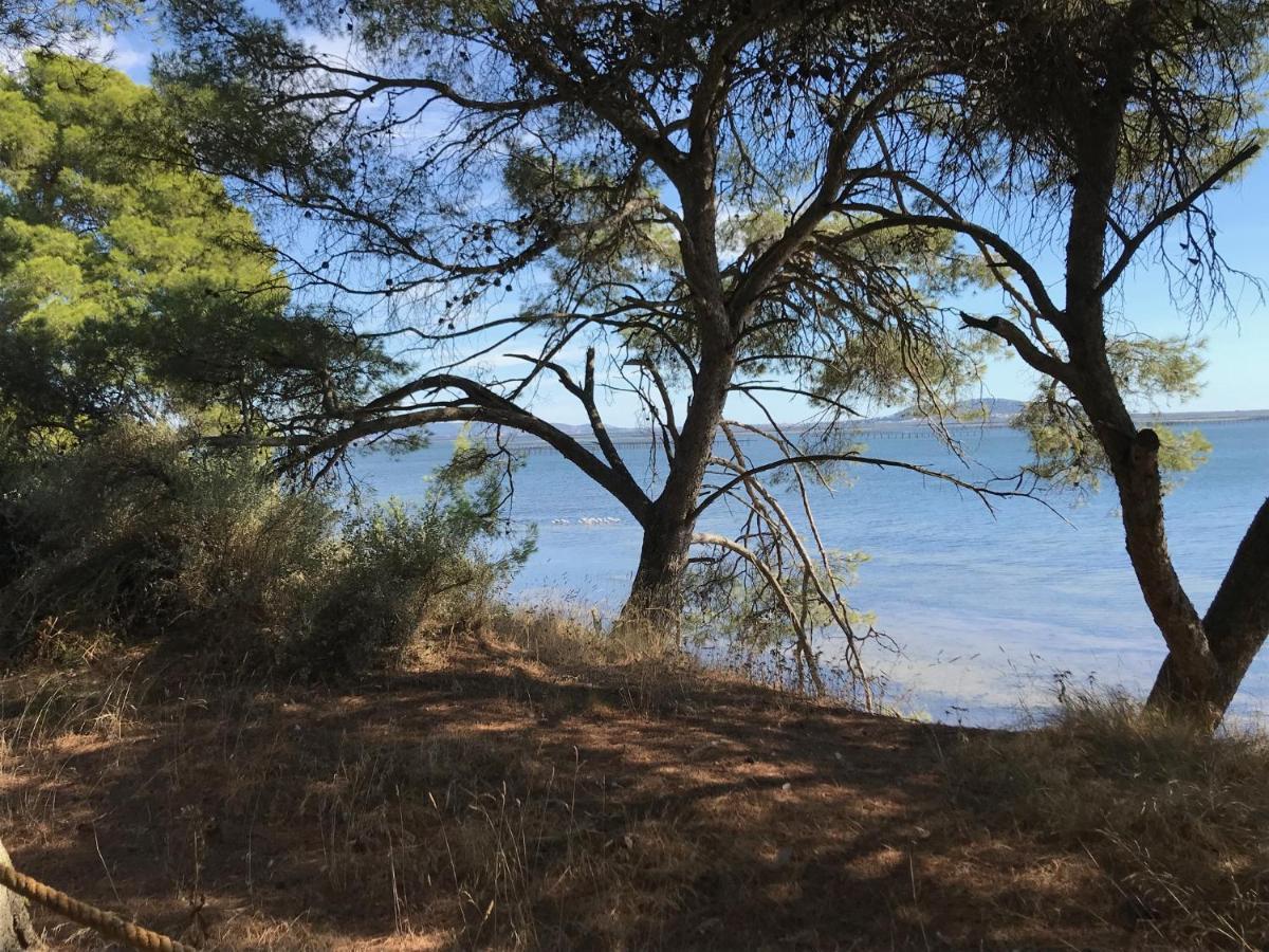مبيت وإفطار مارسيلان Au Bord De Thau المظهر الخارجي الصورة