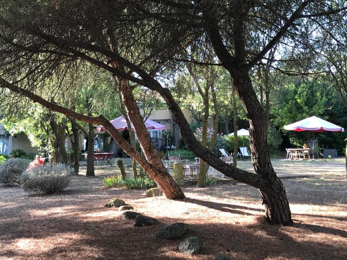 مبيت وإفطار مارسيلان Au Bord De Thau المظهر الخارجي الصورة