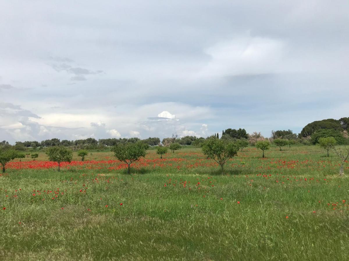 مبيت وإفطار مارسيلان Au Bord De Thau المظهر الخارجي الصورة