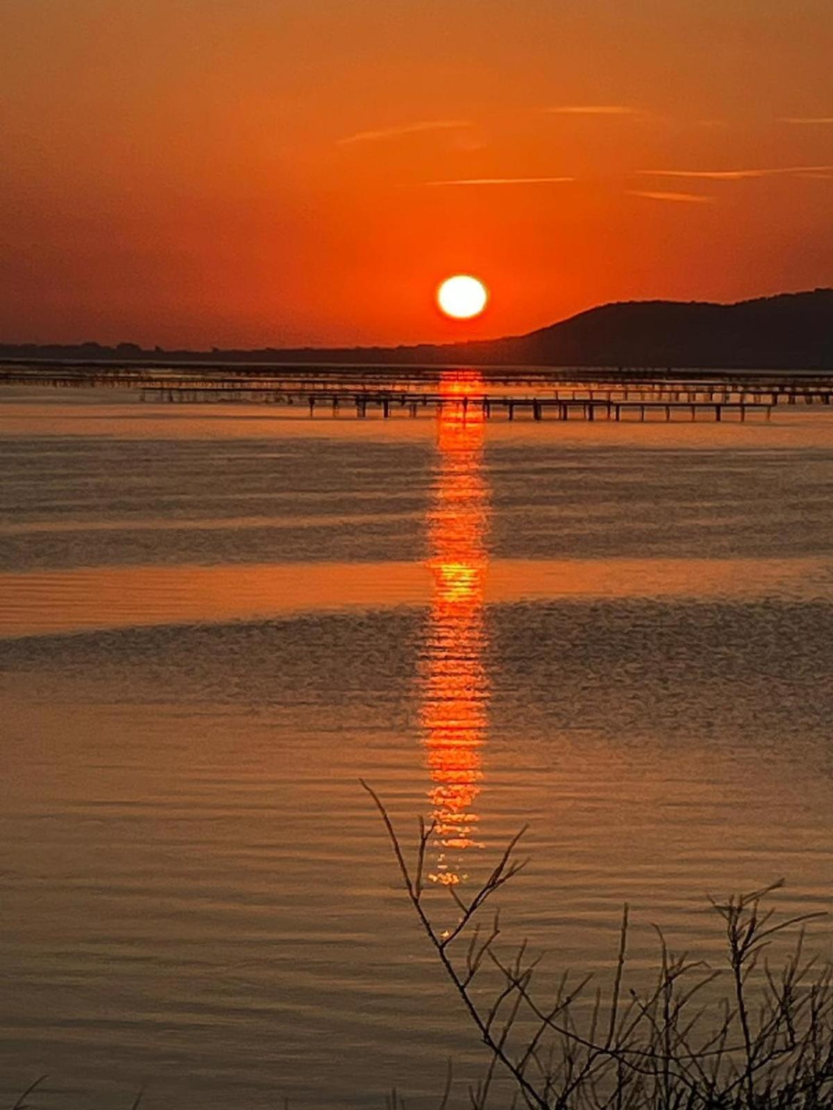 مبيت وإفطار مارسيلان Au Bord De Thau المظهر الخارجي الصورة